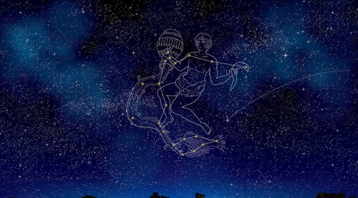 compatibilità acquario e acquario