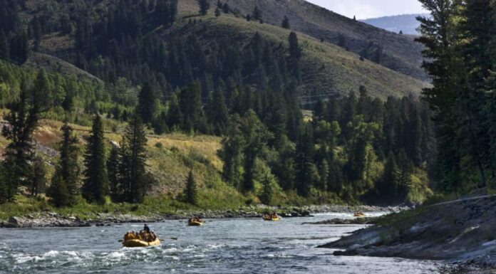 Il fiume Snake nel Wyoming