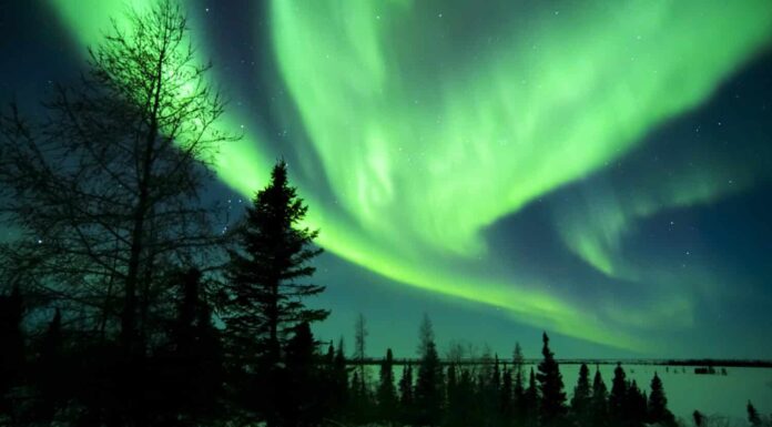 Cielo notturno illuminato con aurora boreale, luci settentrionali, parco nazionale Wapusk, Manitoba, Canada.