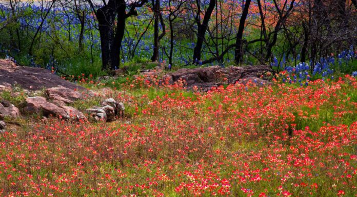 Inchiostri Lake State Park