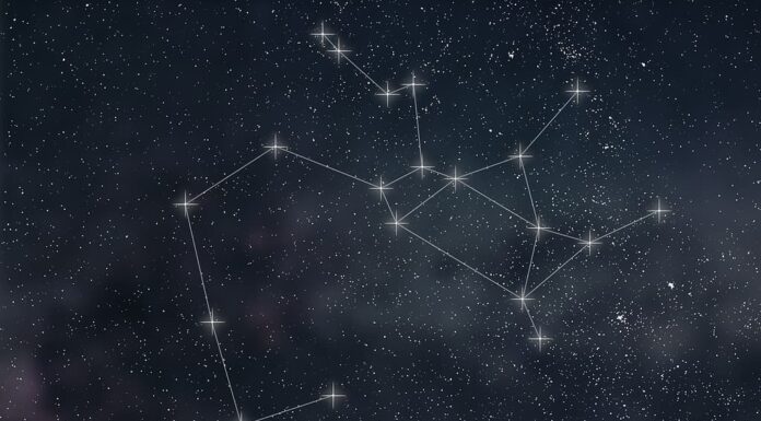 fiori e piante che rappresentano il sagittario