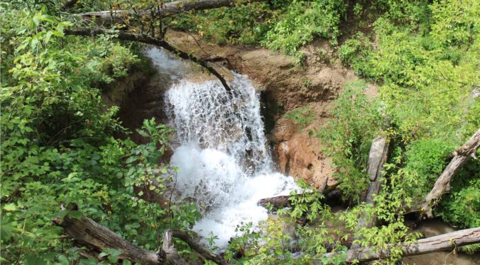Parco statale di Smith Falls