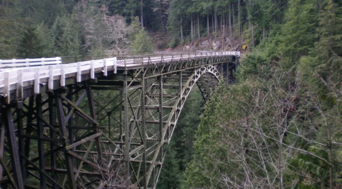 I 5 ponti più alti di Washington ti faranno girare la testa
