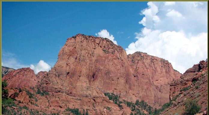 Le 4 strade più spettacolari del Parco Nazionale di Zion
