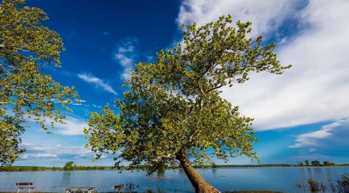 18 MAGGIO 2019, campeggio USA al Weston Bend State Park a Rushville, Platte County, Missouri