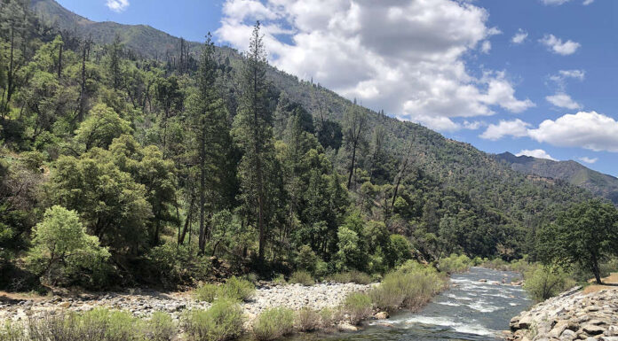 Fiume Merced, Parco nazionale Yosemite - California - Bellezza della California settentrionale