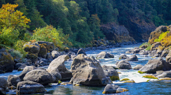 Blossom Bar rapido sul fiume Rogue, Oregon