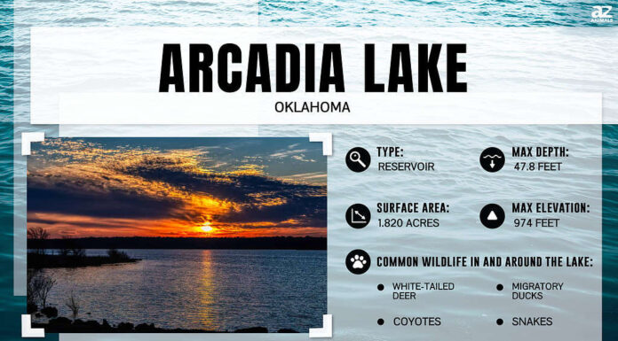 Quanto è profondo il lago Arcadia e cosa possono fare i visitatori lì?
