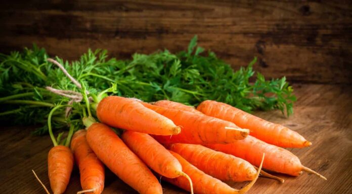 mazzo di carote fresche su fondo di legno rustico