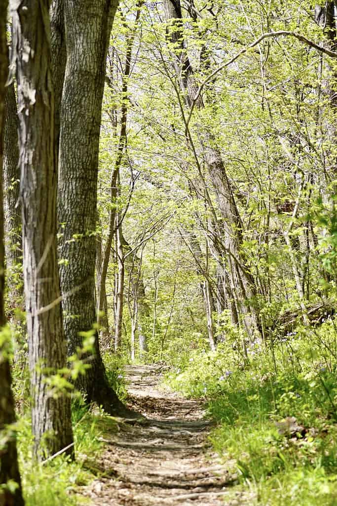 Scopri gli 8 luoghi più remoti dell'Iowa e come arrivarci in sicurezza