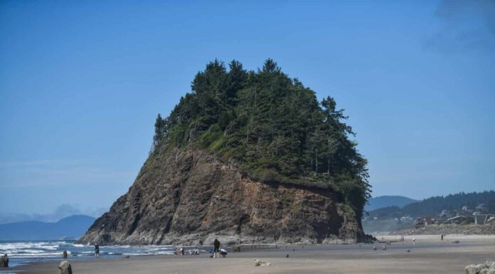 Spiaggia della foresta fantasma di Newskovin nell'Oregon, USA