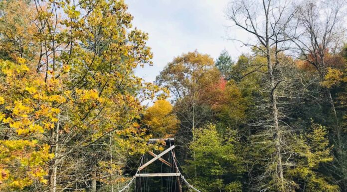 Ponte girevole sul fiume Toccoa
