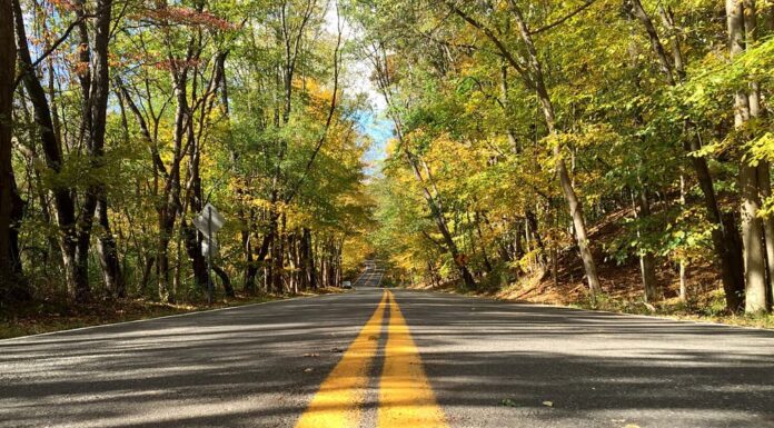 Una strada di campagna a due corsie in Ohio durante l'autunno quando le foglie passano dal verde al giallo, all'arancione e al marrone.