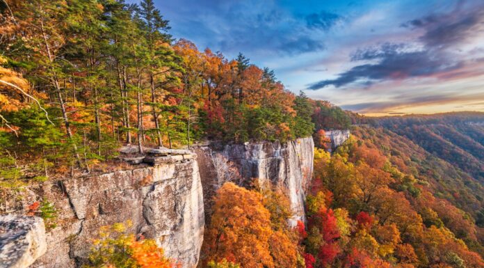 New River Gorge, West Virginia, USA paesaggio autunnale mattutino all'Endless Wall.