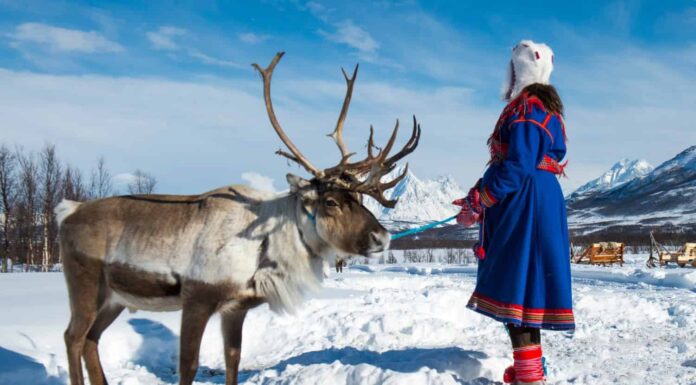 La Norvegia settentrionale, una donna Sami vestita tradizionale. La Lapponia di Tromso