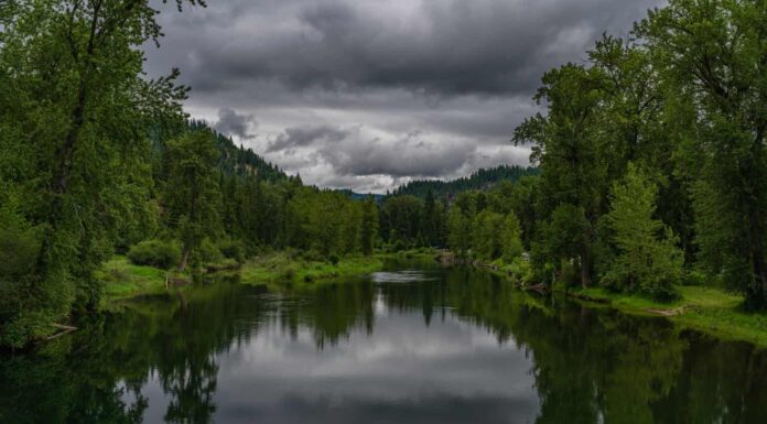 FIUME COEUR D'ALENE VICINO A KELLOGG IDAHO