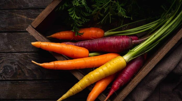 Carota arcobaleno colorata con le foglie verdi in una scatola su sfondo di legno, vista dall'alto