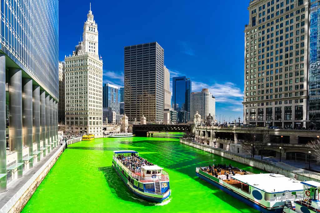 Edificio sullo skyline di Chicago lungo il fiume colorante verde del fiume Chicago durante il festival del giorno di San Patrizio nel centro di Chicago IL USA