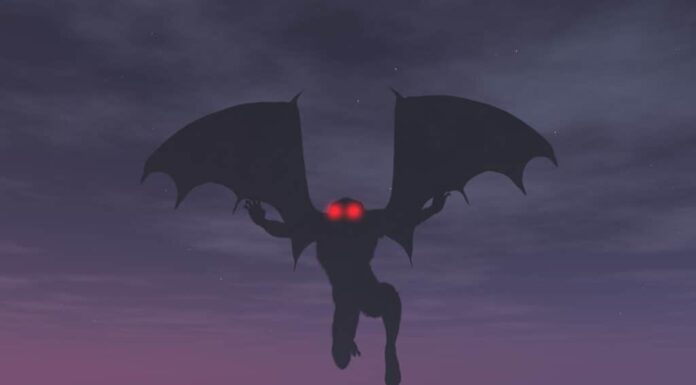 6 Criptidi del West Virginia: aspetto, comportamento e posizione
