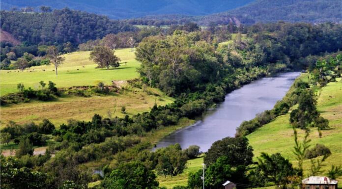 Fiumi più antichi: il fiume Macleay