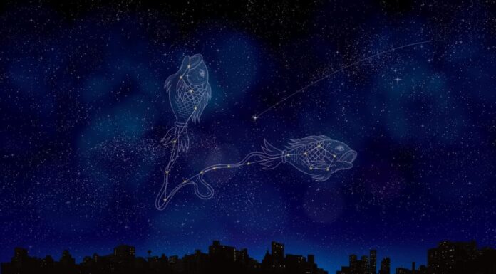 Segni che sono la peggiore corrispondenza per i Pesci