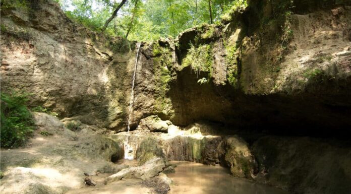 Area naturale di Clark Creek