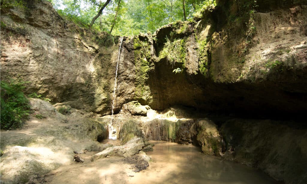 Area naturale di Clark Creek