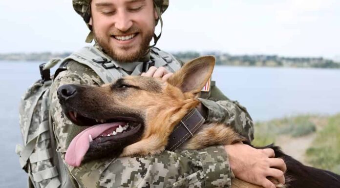 Uomo in uniforme militare con cane da pastore tedesco all'aperto