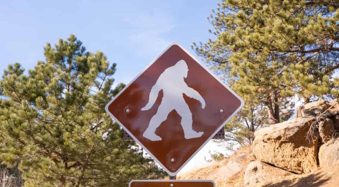 Segno di attraversamento del piede grande