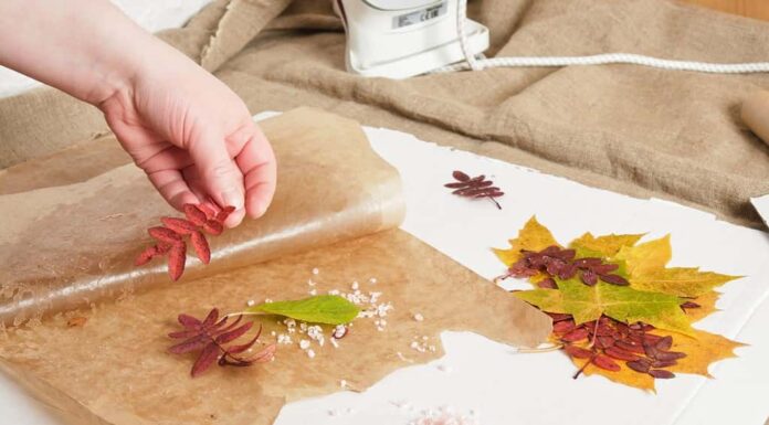 colori che rappresentano la creatività