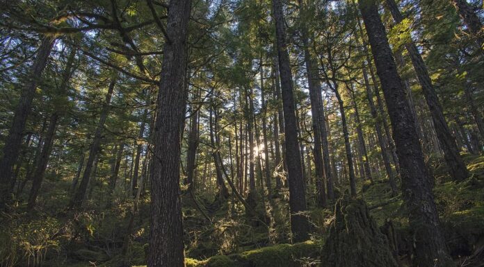 Baia dei Coloni 102320 01