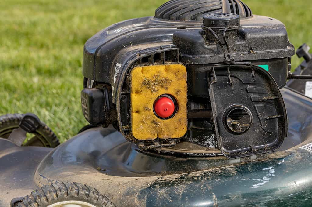 Filtro dell'aria sporco sul tosaerba.  Concetto di riparazione, manutenzione e messa a punto di piccoli motori