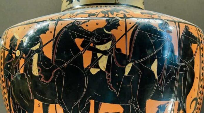  Cani da guerra!  In che modo i cani hanno prestato servizio militare, passato e presente?
