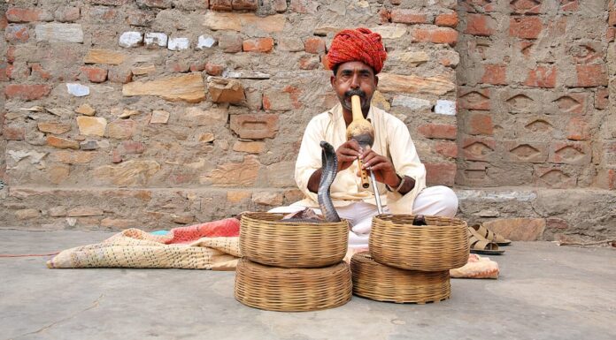 Incantatore Cobra seduto per strada con il suo cobra