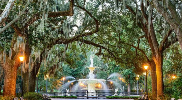 Savannah, Georgia, Stati Uniti alla fontana del Forsyth Park.