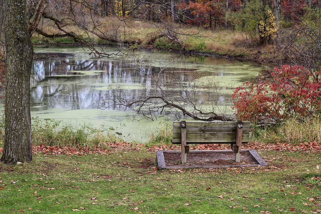 Kettle Moraine State Forest Lapham Peak Park