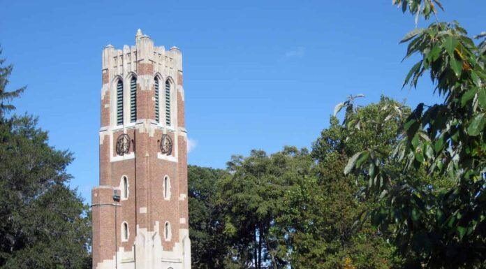 Torre Beaumont, Stato del Michigan