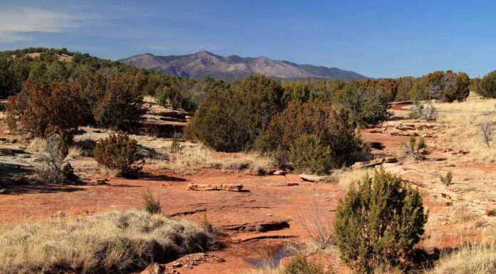 Montagne di Manzano viste dalle rovine di Abo al monumento nazionale di Salinas Missions, Nuovo Messico