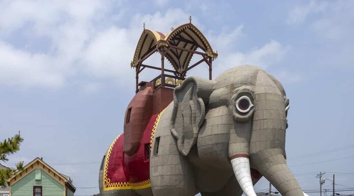 Lucy l'elefantessa nel New Jersey