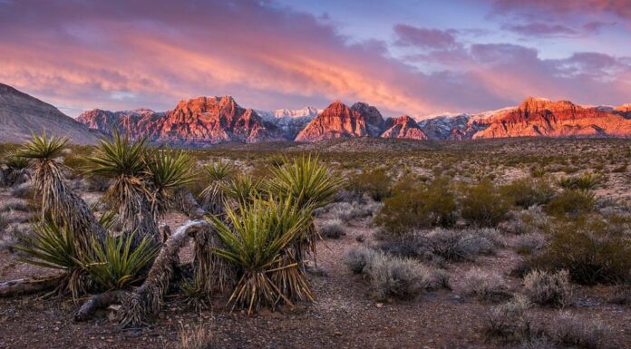 Alba al Red Rock Canyon, Nevada