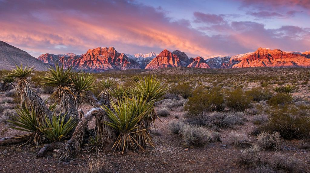 Alba al Red Rock Canyon, Nevada