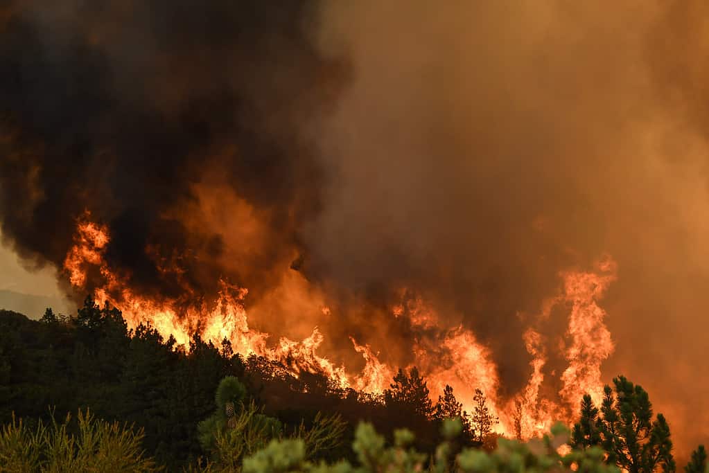 Incendio di Cranston