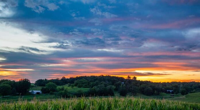 Bel tramonto in un campo in Iowa