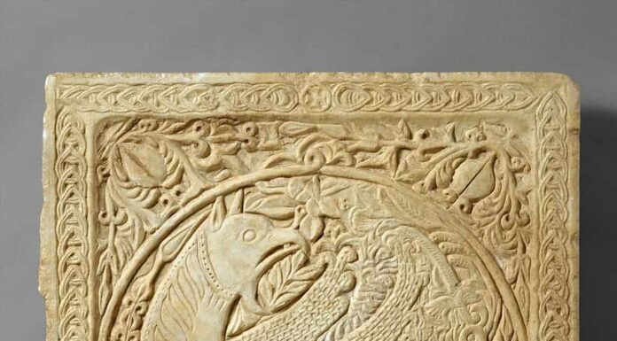 Ippogrifo contro Grifone: differenze chiave, origini e collegamenti con la realtà
