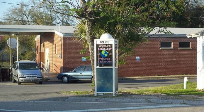 Le 8 attrazioni più strane lungo la strada in Florida
