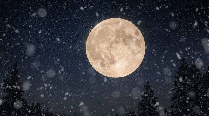 Incredibile bellissima grande luna nel cielo notturno con stelle e foresta invernale con neve.  Vacanze invernali e paesaggio notturno.  Nevicate