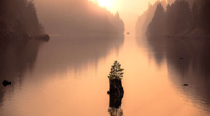 North Cascades Highway sul fiume Skagit nel Parco Nazionale delle Cascade del Nord a Washington