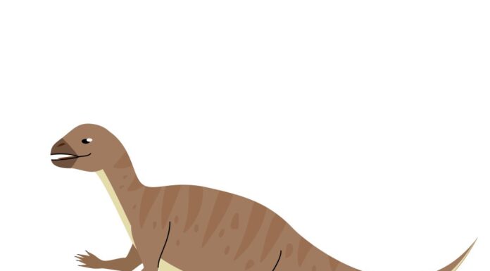 Scopri gli 11 dinosauri che iniziano con Q
