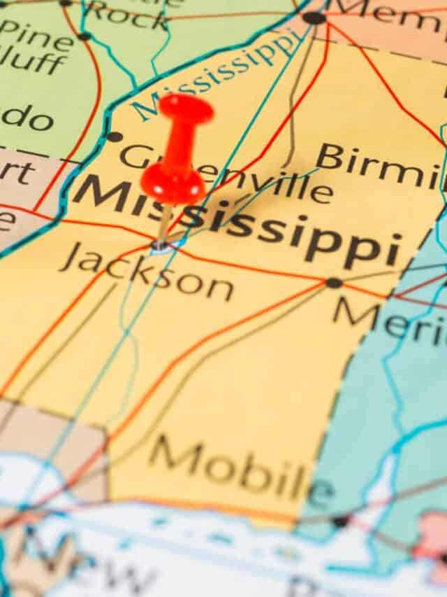 Scopri i 10 Stati con i peggiori guidatori