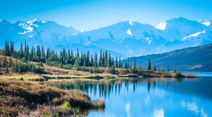 Parco Nazionale di Denali e Lago Wonder con sfondo montano